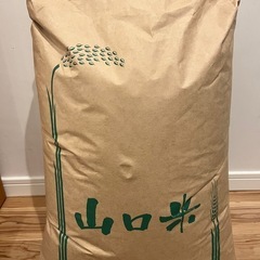 令和6年山口県産コシヒカリ③新米 (halukunn) 徳山の食品の中古