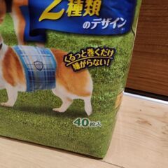 マナーウェア　犬用　おむつ　Lの画像