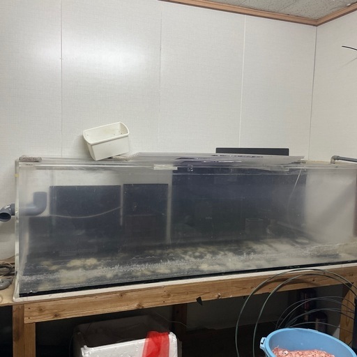 アクリル水槽