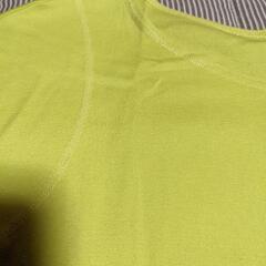 ヒロココシノ　コットンシャツ38　　25番の画像