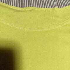 ヒロココシノ　コットンシャツ38　　25番の画像