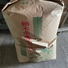 令和5年　栃木県産　コシヒカリ1等米　玄米30キロ