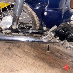 SUZUKI  バーディ50の画像