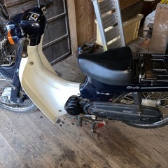 SUZUKI  バーディ50