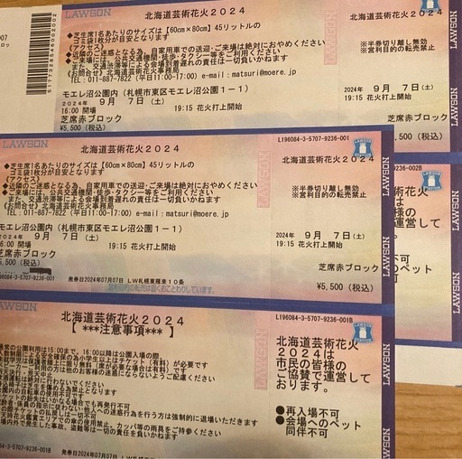北海道芸術花火2024 モエレ沼花火 チケット2枚