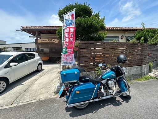 ハーレーダビットソンFLHS/ロードキング