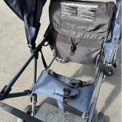 KATOJI 2人のりベビーカー　値下げしましたの画像