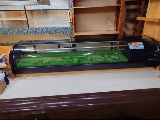 ネタケース　動作確認済み　引取価格