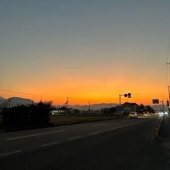 お話し相手が欲しいです！