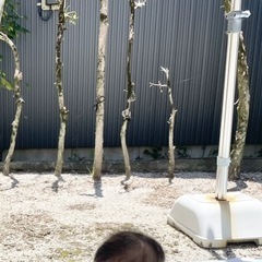 木の根抜き作業