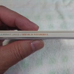 □　Stevie Is Wonderful Intelligent Jazz (Kay Nakayama / Akira Jimbo) (ケイ・ナカヤマ/アキラ・ジンボ)   チル・アウトDJ、ケイ・ナカヤマとカシオペアの活動と、その超絶テクニックで世界的に有名なジャズ・ドラマー 神保彰によるコラボレイテッド・ユニットによる最新作!! 全編スティーヴィー・ワンダーのカヴァー楽曲集。   の画像