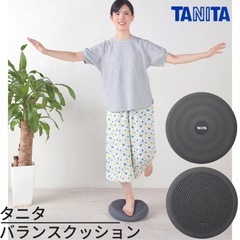 バランスクッション　オフィスでもおうちでも 座るだけ簡単エクサ！ タニタのバランスクッションの画像