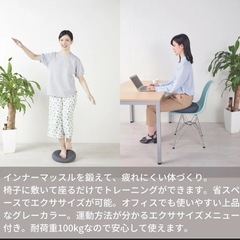 バランスクッション　オフィスでもおうちでも 座るだけ簡単エクサ！ タニタのバランスクッションの画像