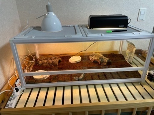 【価格相談可】爬虫類　ケージ　9045 ライト　シェルター　その他