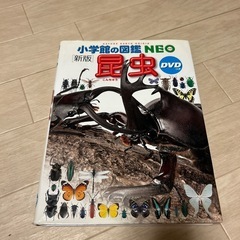 【お話中】小学館の図鑑NEO 昆虫