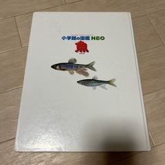 【お話中】小学館の図鑑NEO 魚の画像