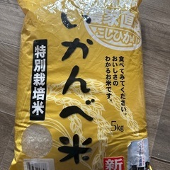 お米 5キロ 2023年