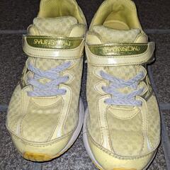 瞬足スニーカーの画像