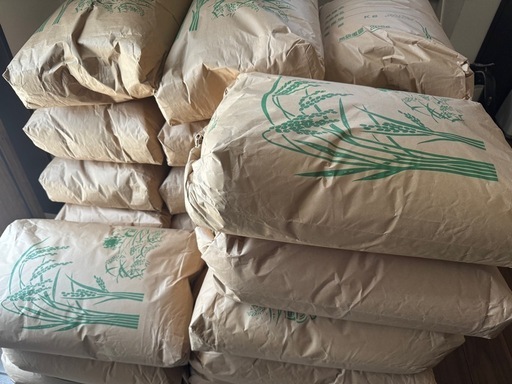 令和6年 新米 キヌヒカリ30kg玄米