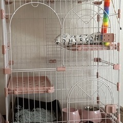 猫ゲージ ピンク色  