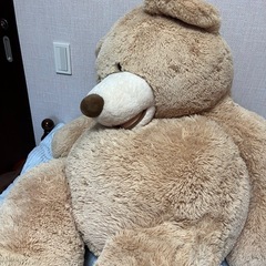コストコのクマのぬいぐるみの画像