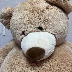 コストコのクマのぬいぐるみの画像
