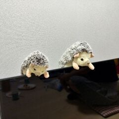 【急募】9/15（日）人狼会　in愛知県