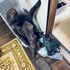 【本日希望】骨董品　まとめの画像