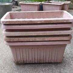 【交渉中】古いプランターの画像