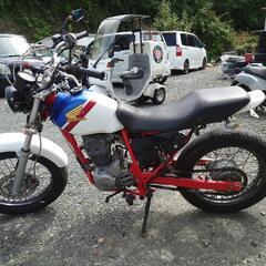 FTR223！！の画像