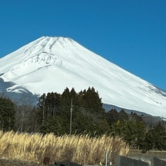 草野球チームメンバー募集です