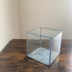 ガラスボックス
