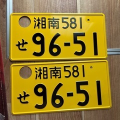 観賞用❗️ナンバープレート❗️湘南ナンバー❗️２枚❗️