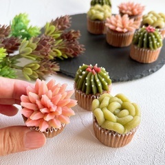 【10/12(土)】あんこで作る多肉植物「多肉ミニカップケーキレッスン」の画像