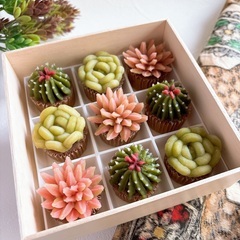 【10/12(土)】あんこで作る多肉植物「多肉ミニカップケーキレッスン」の画像