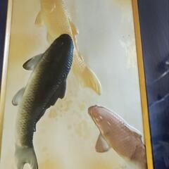 額入りの鯉のアートの画像