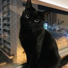 おめめクリクリの甘えん坊「まこと」君