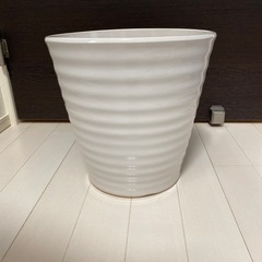 白い陶器の植木鉢