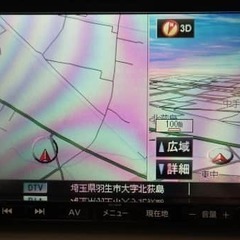 可愛らしいアルトラパンどうですか？！の画像