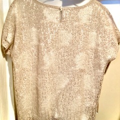 花柄総レースカットソー　ブラウスの画像