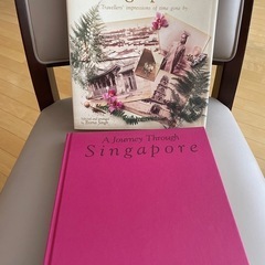 A Journey Through Singapore by Reena Singh の画像