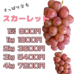 山梨市牧丘町　スカーレット（種無し）