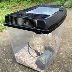 金魚鉢セット/ポンプ/砂/オブジェ
の画像