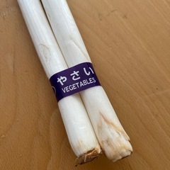①国産野菜セット！長ねぎ・レタス！訳あり品の画像