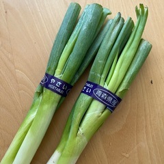 ①国産野菜セット！長ねぎ・レタス！訳あり品の画像