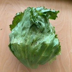 ①国産野菜セット！長ねぎ・レタス！訳あり品の画像
