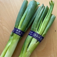 受け渡し者【決定】③国産野菜セット！長ねぎ・レタス！訳あり品の画像