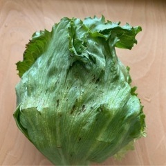 受け渡し者【決定】③国産野菜セット！長ねぎ・レタス！訳あり品の画像