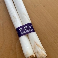 受け渡し者【決定】③国産野菜セット！長ねぎ・レタス！訳あり品の画像