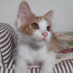 懐っこさ満点♥　まるちゃん